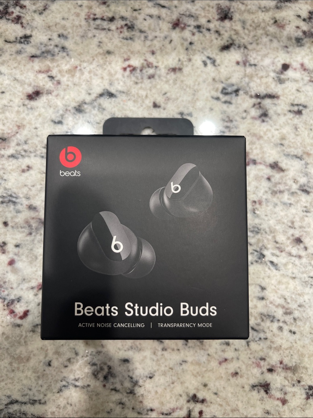 Studio Buds True Wireless Earbuds - Black -